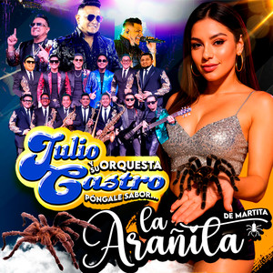 LA ARAÑITA DE MARTITA