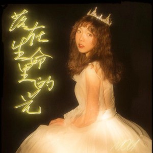 落在生命里的光