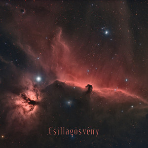 Csillagösvény (Halak a hálóban)