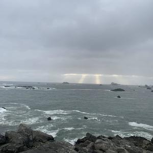 Til The End (feat. DallThe$aint) (Explicit)