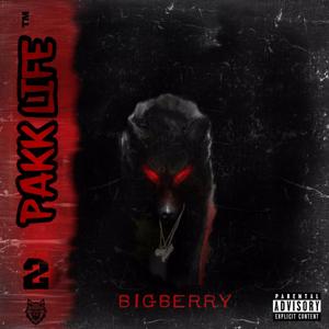 Handle That (feat. J Foreva, Big Chris & Vintage Daz) (Explicit)