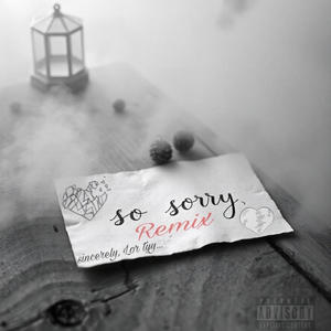 So Sorry (Remix) [Explicit]