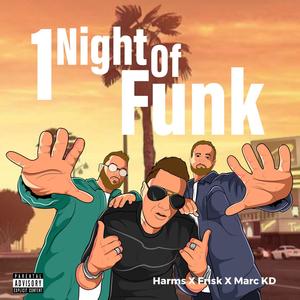 1 Night Of Funk (Explicit)