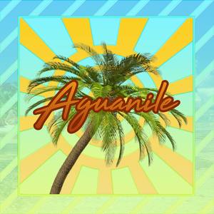 Aguanile