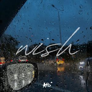 AHS - wish