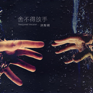 舍不得放手 (Remix)
