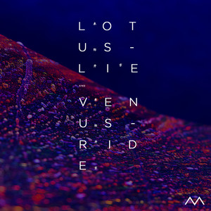 Lotus Lie
