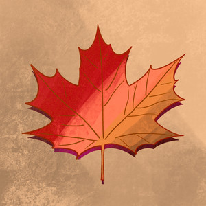 Maple Leaves