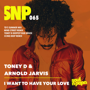 I Want To Have Your Love (Toney D Deepest Dub House Remix)