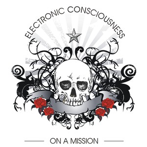 Electronic Consciousness