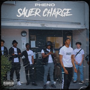 Sauer charge (Explicit)