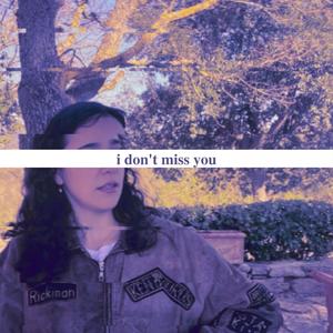 i don't miss you