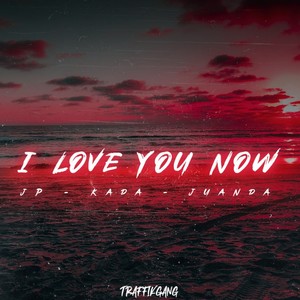 I love you now(The future)