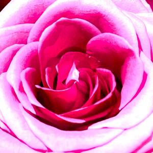 SI TE ACUERDAS MAÑANA