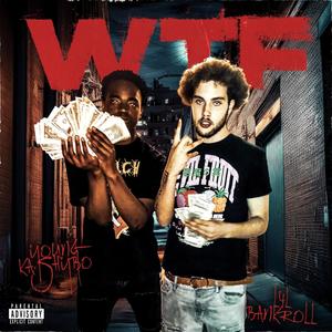 WTF (feat. L4l Bankroll) [Explicit]