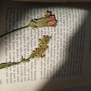 ALÍSTATE (Explicit)