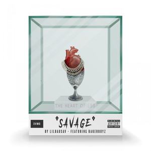 SAVAGE (Explicit)