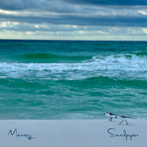 Sandpiper