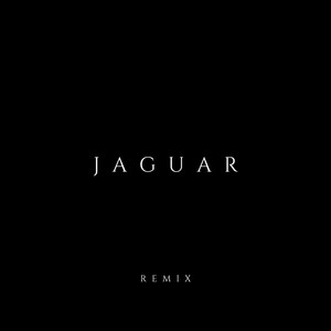 Jaguar (Remix) [Explicit]