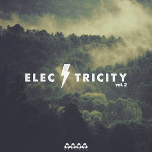 Electricity, Vol. 2