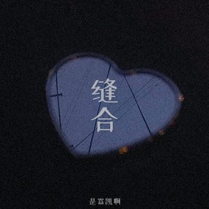 缝合 (伴奏)