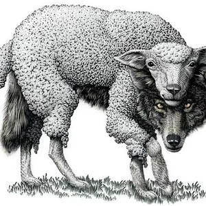 wolfinsheepsclothing. (feat. engless) (Explicit)