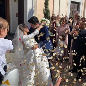 Se Sembriamo Scemi, Un Meme!