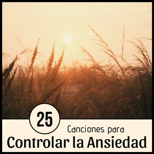 25 Canciones para Controlar la Ansiedad - 2 Horas de la Mejor Música Antiestrés con Sonidos Relajantes