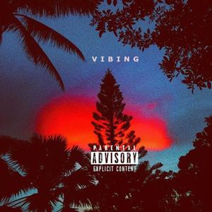 VIBING (Explicit)
