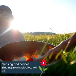 Admiring Soft Meditation (Original Mix)