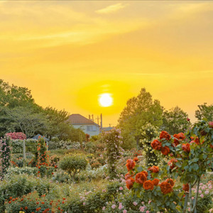 想见你想见你想见你