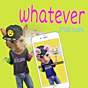 whatever (feat. nives) (Explicit)
