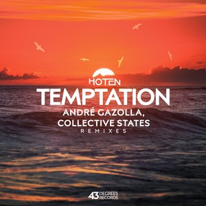 Temptation (Andre Gazolla Remix)
