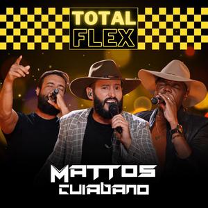 Total Flex (feat. Lucas Reis & Thácio)