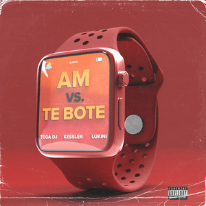 Am vs. Te Bote (Remix)