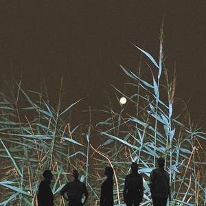 Erinevad maailmad(feat. TIKS) (Maris Pihlap TIKS remix)