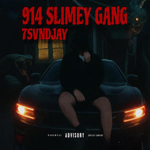 HANGING W DEM MEMBERS (feat. liilmere6) (Remix|Explicit)