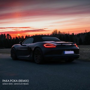 Paka Poka (Mihaylov Remix)
