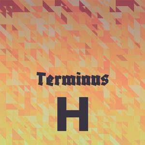 Terminus H