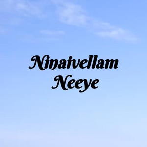 Nuvve Naa Prema(feat. Vigneshwar & Raveen Anand)