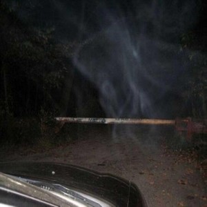 december sample 2019