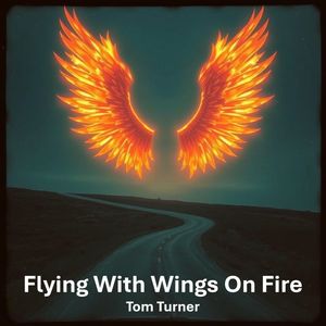 Flying With Wings On Fire