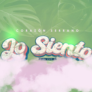 Lo Siento (En Vivo)