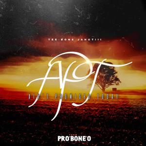 APT (Ain't Promised Today) (Explicit)