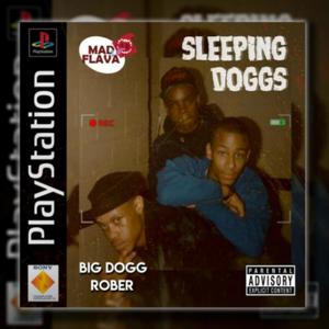 Sleeping DogZzz (feat. Rober Il Direttore) (Explicit)