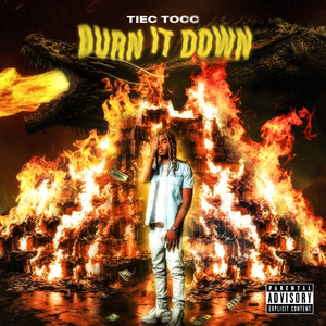 Burn It Down (Explicit)