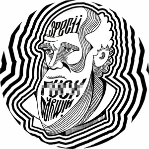 Greșelile Tinereții (Explicit)