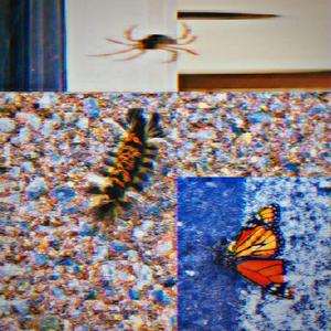 DEAD IDOLZ (feat. nic violets & SonniVegas) (Explicit)