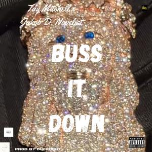 Buss it Down x Jakob D. Novelist (Explicit)