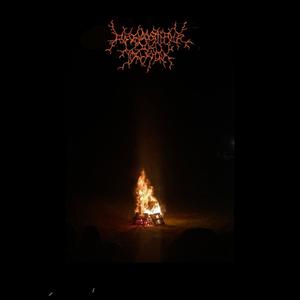 observations of violence (feat. 9souls) (Explicit)